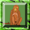 Hidden Monkey