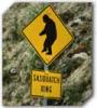 sign-bigfootxing
