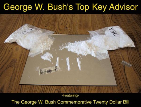 Bush-advisor