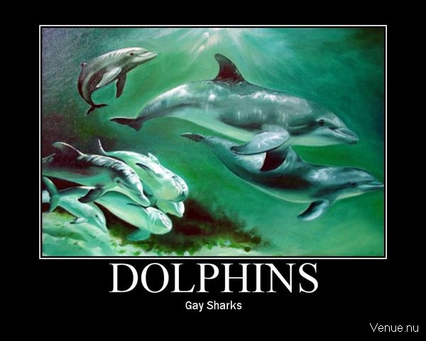 Gay Sharks