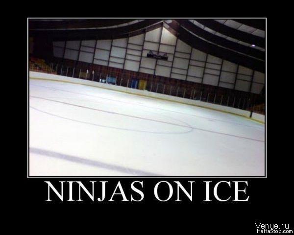 Ninjas On Ice