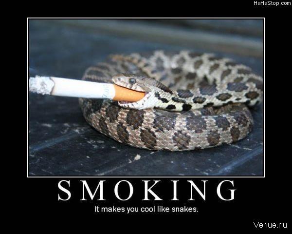 Smoking Is Cool