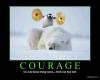 couragecs2