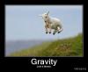 gravity