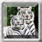 Hidden Numbers White Tiger