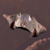 mars-ma