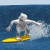 Yeti Surf